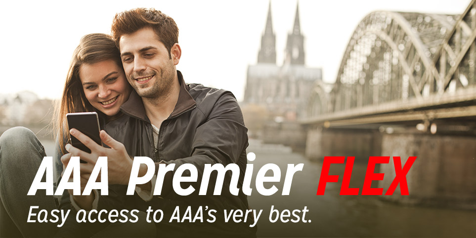 Premier Flex Banner