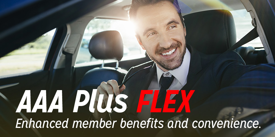 Plus Flex Banner