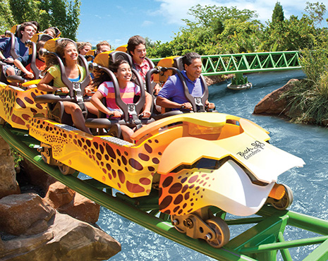 Busch Gardens Tampa Cheetah Hunt roller coaster